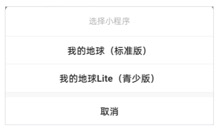 版本选择